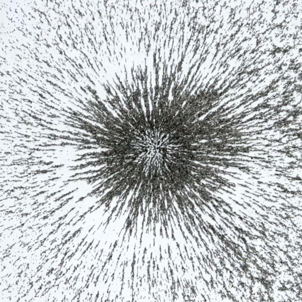 Järnspån för magnetiska experiment (200 g)