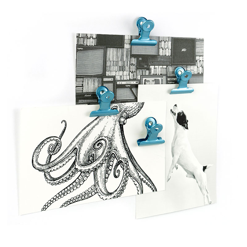 Magnetklämmor Bulldog Mini 4 st - SKYBLUE Kylskåpsmagneter