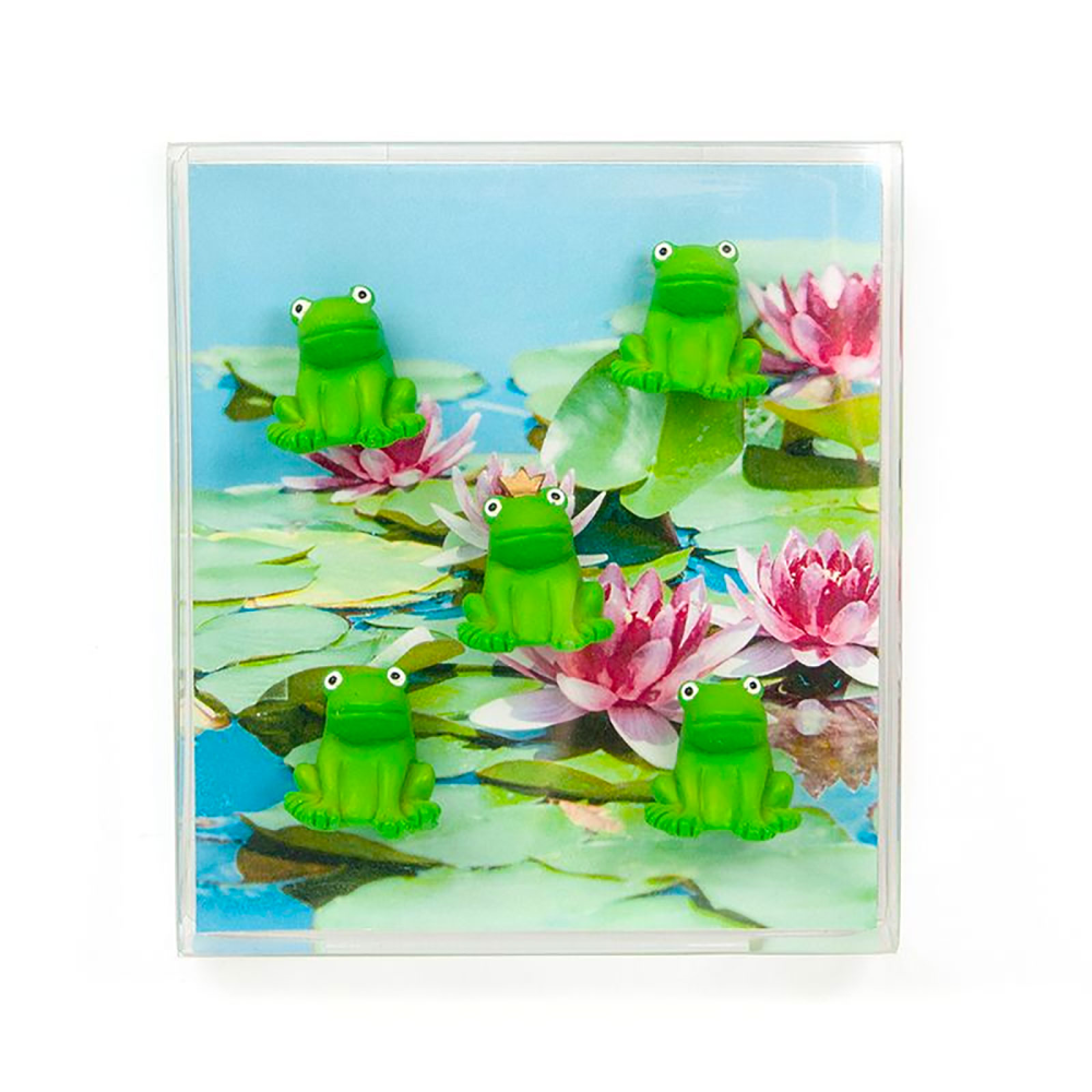 FROG magneter, 5 st - kylskåpsmagneter