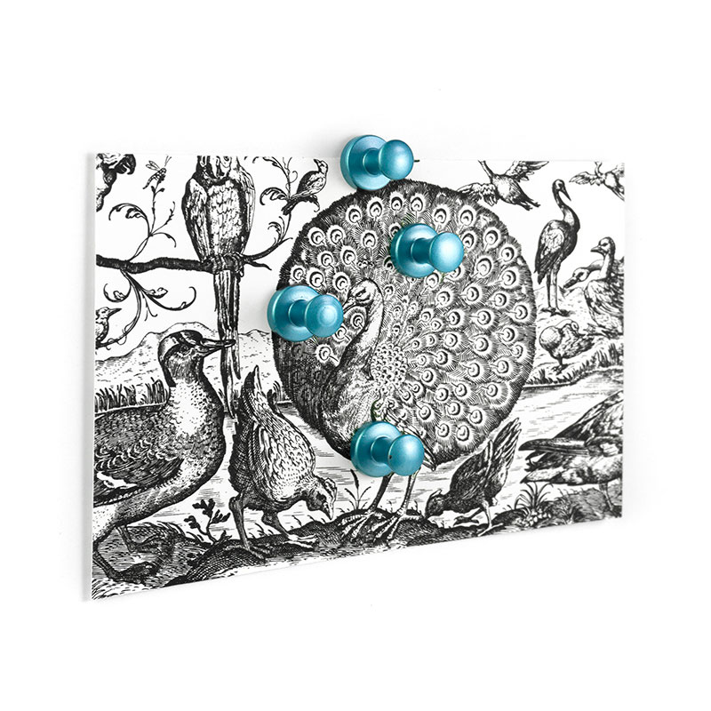 Mini-max SKYBLUE, Metall 4 st kylskåpsmagneter