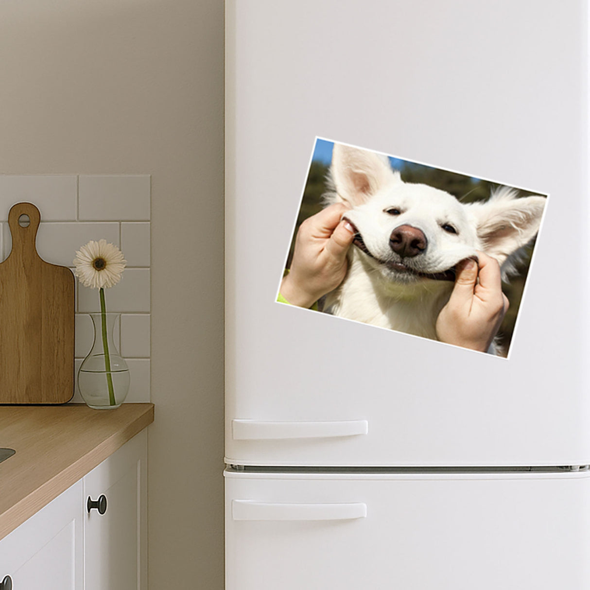 Fotomagnet 13 x 18 cm (1,0 mm)