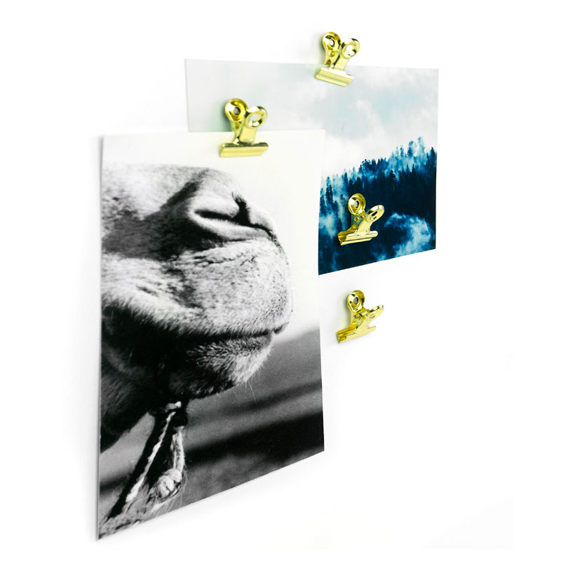 Magnetiska klämmor koppar, Bulldog xsmall 4-pack kylskåpsmagneter