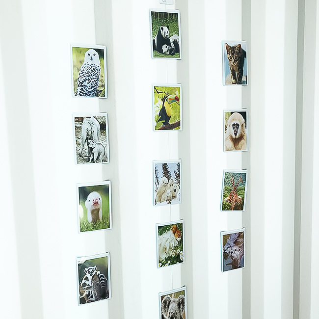 Magnetficka, Vit 10x15 cm