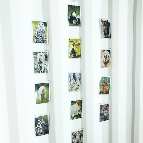 Magnetficka, Vit 10x15 cm