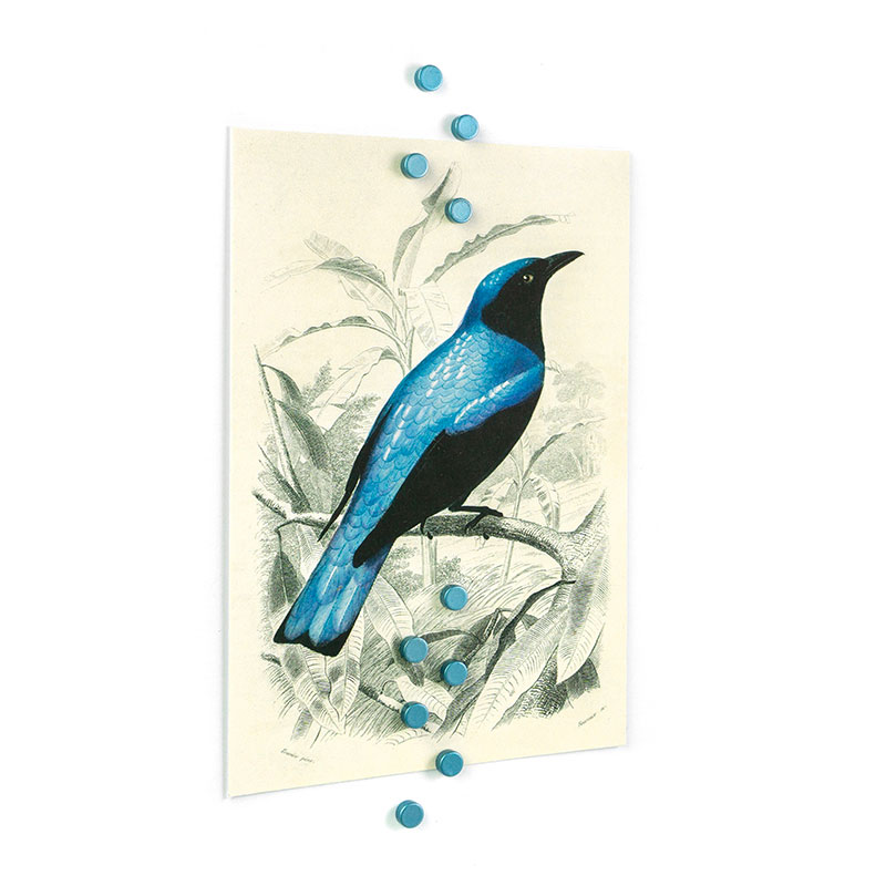 Färgade supermagneter 6x3 mm, 10-pack SKYBLUE