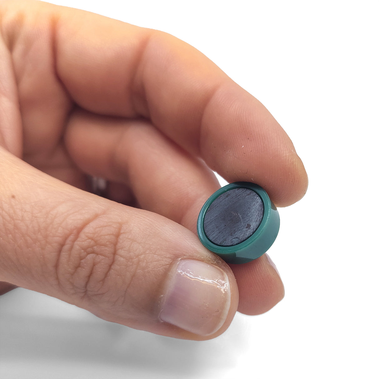 Magnordic magneter, Grön Ø15 mm - kontorsmagnet (10 st)