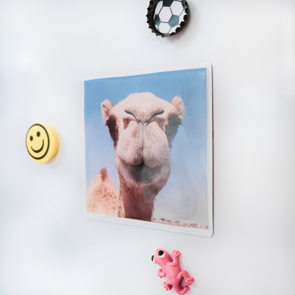 Magnetficka, Vit 10x10 cm