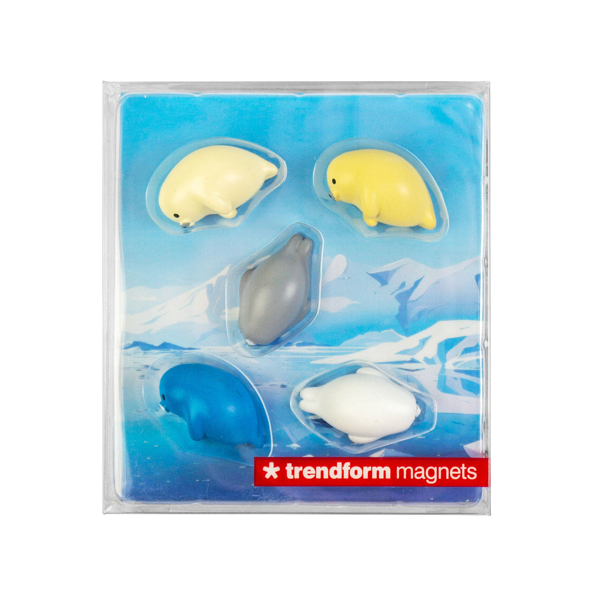 ROBBY magneter, 5-pack - kylskåpsmagneter