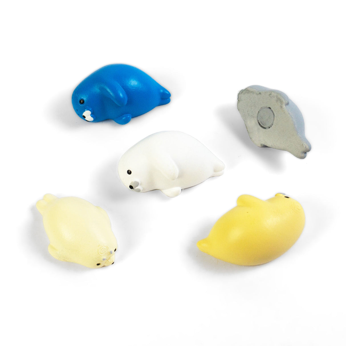 ROBBY magneter, 5-pack - kylskåpsmagneter