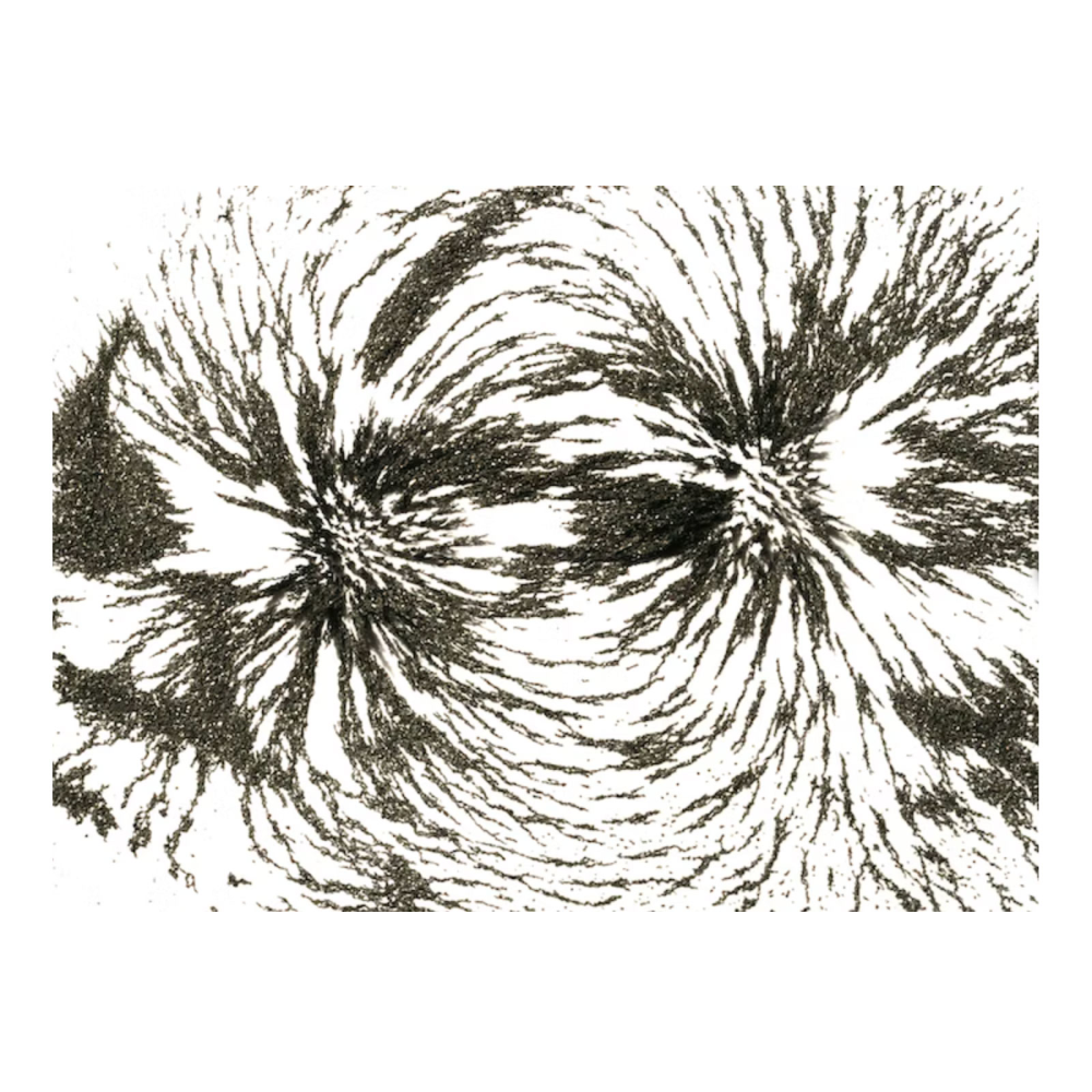 Järnspån för magnetiska experiment (200 g)