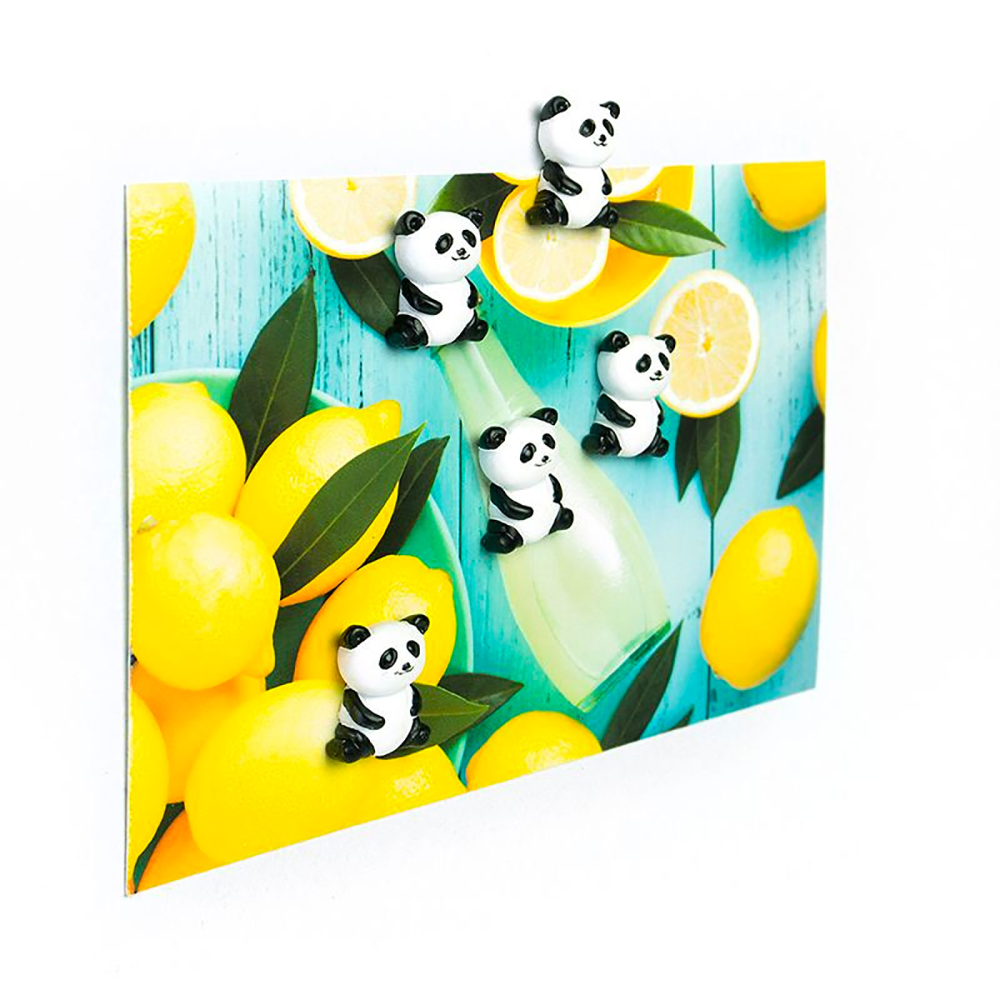 PANDA magneter, 5 st - kylskåpsmagneter