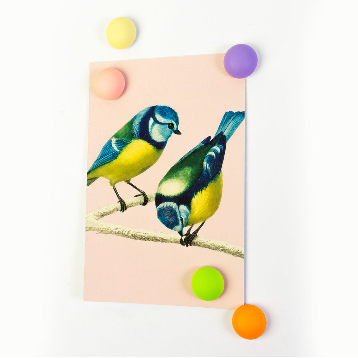 JOY magneter, 5 st - kylskåpsmagneter