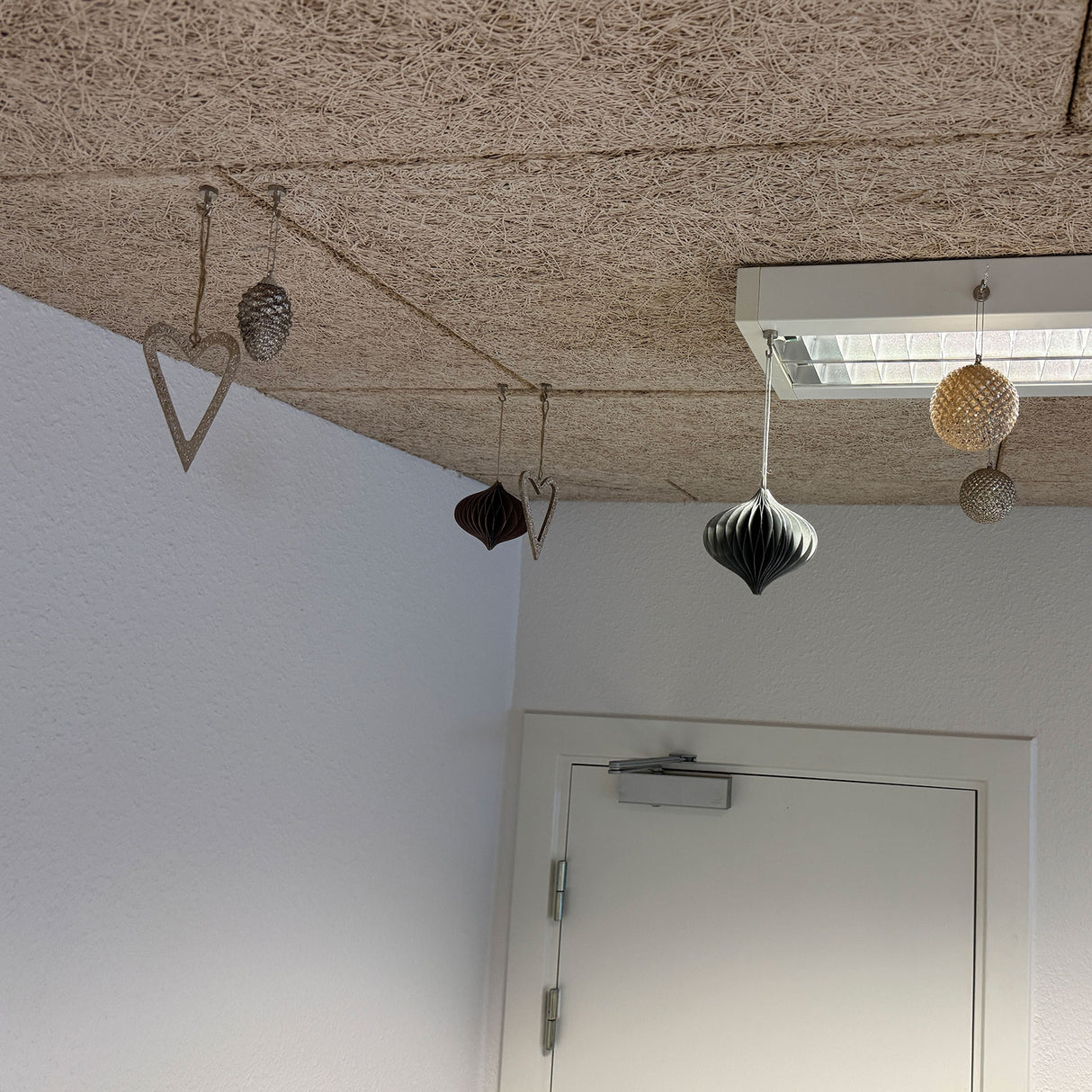 Krokmagnet Ø12 mm (neodymium)