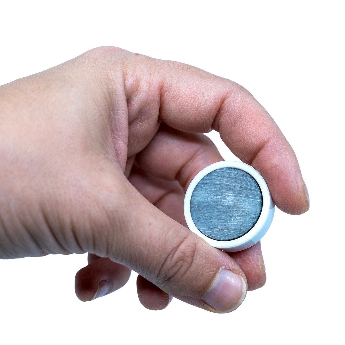 Magnordic magneter, Vit Ø30 mm - kontorsmagnet (10 st)