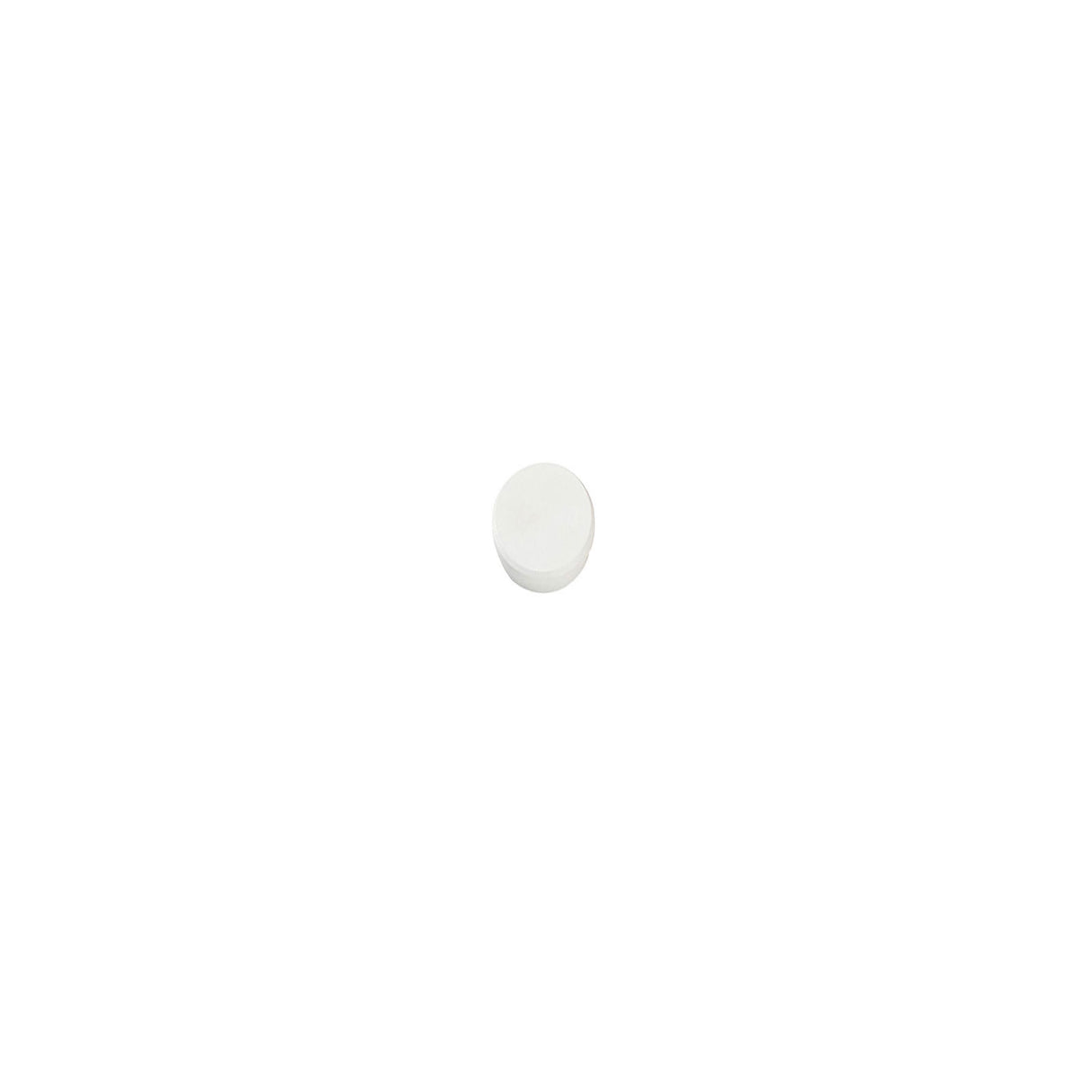 Dahle magnet, Vit Ø13 mm - kontorsmagnet