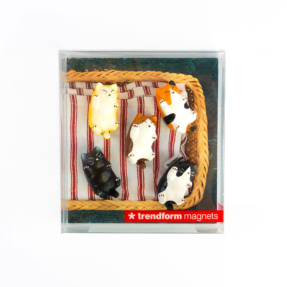 Kattungemagneter, 5-pack - kylskåpsmagneter