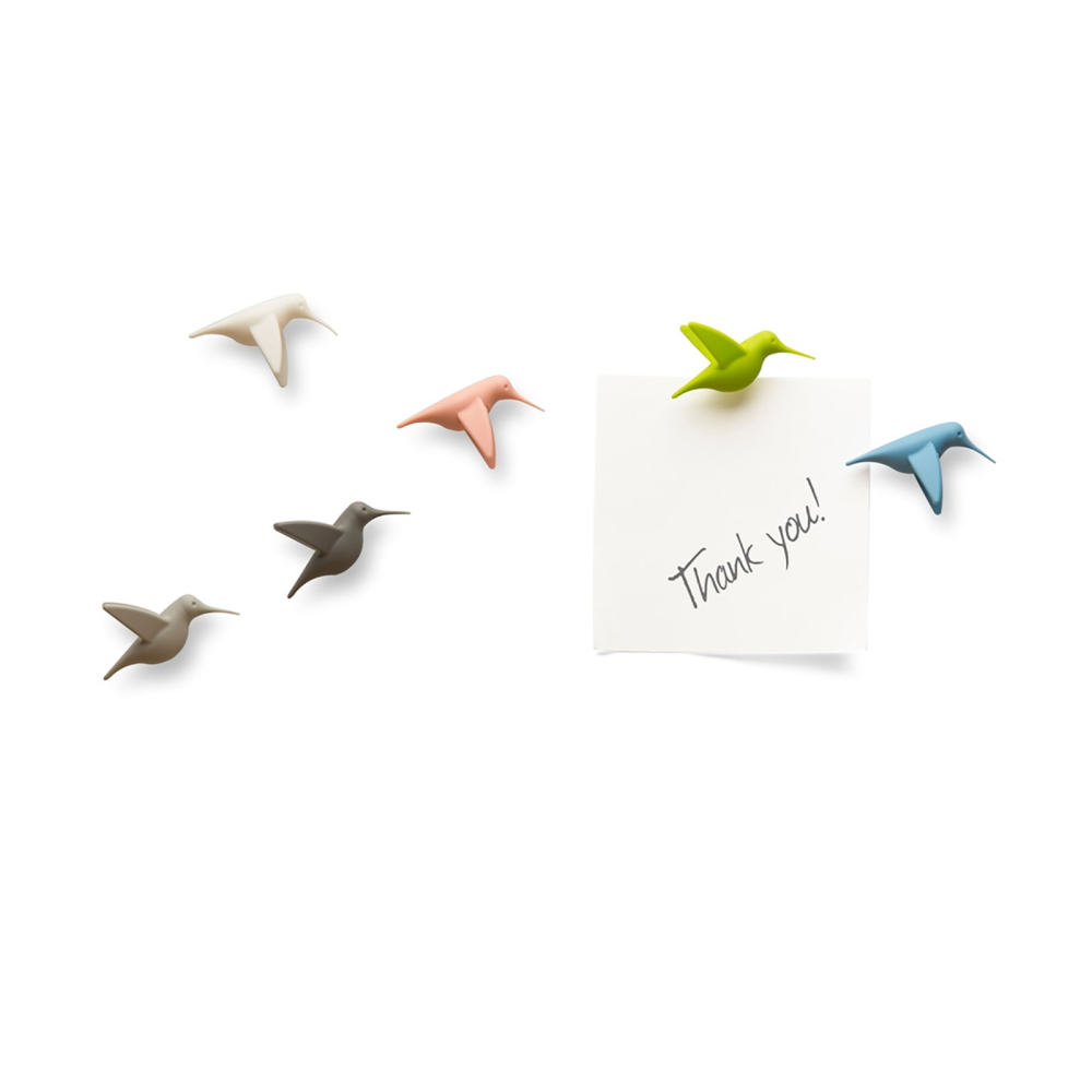 Hummingbird pastell 6 st - kylskåpsmagneter