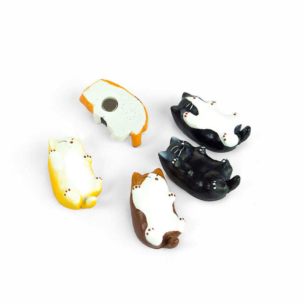 Kattungemagneter, 5-pack - kylskåpsmagneter