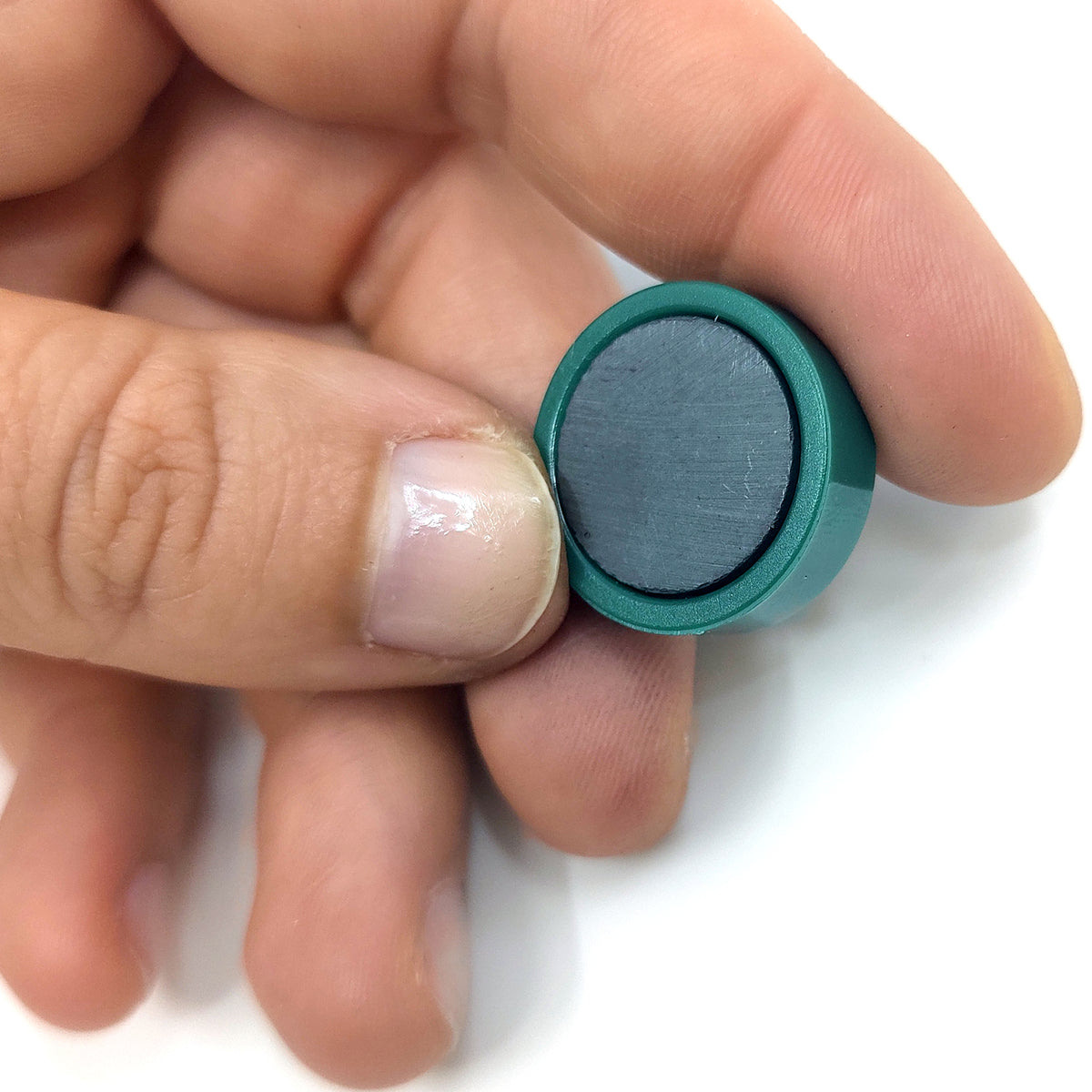 Magnordic magneter, Grön Ø20 mm - kontorsmagnet (10 st)