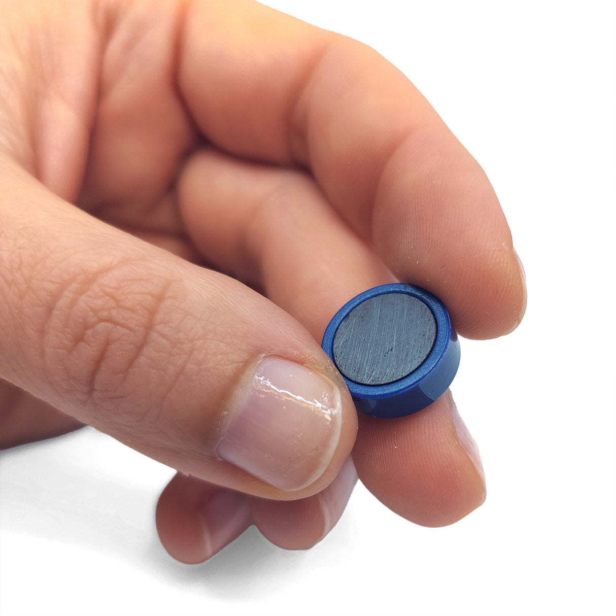 Magnordic magneter, Blå Ø15 mm - kontorsmagnet (10 st)