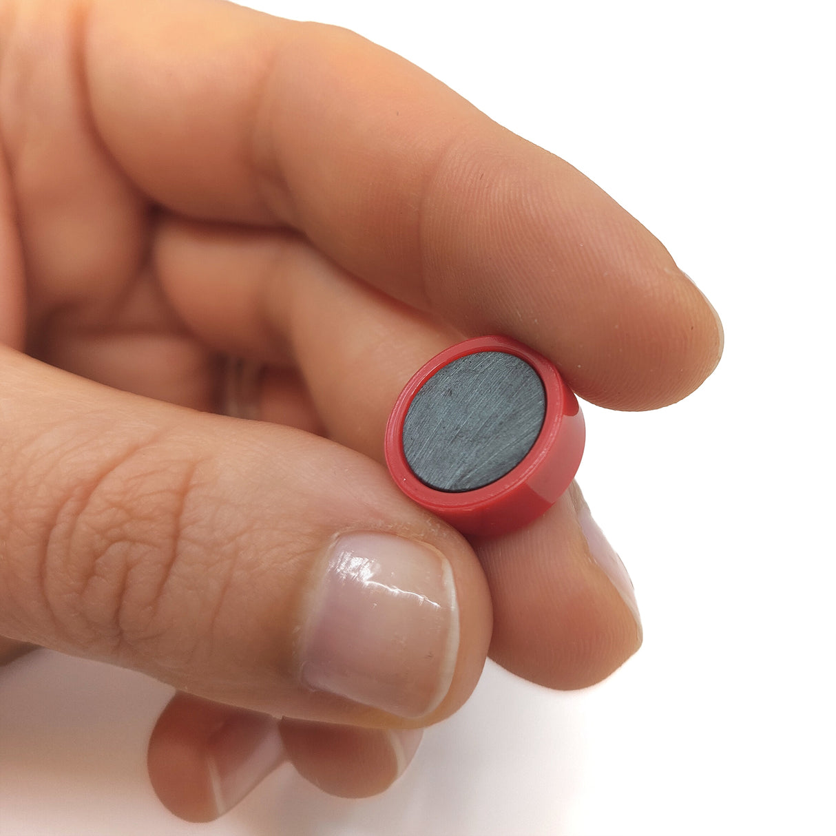 Magnordic magneter, Röd Ø15 mm - kontorsmagnet (10 st)