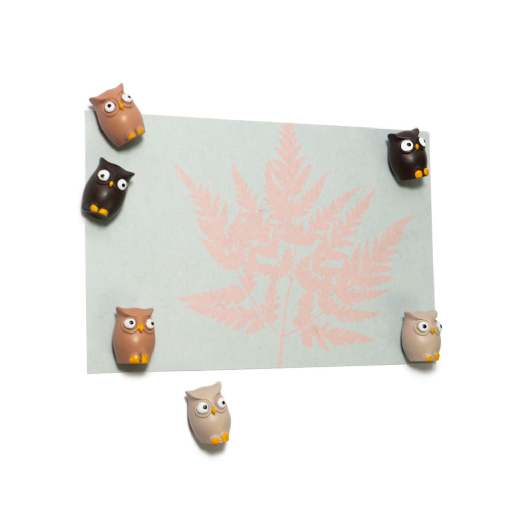 OWL Ugglor 6 st - kylskåpsmagneter