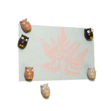 OWL Ugglor 6 st - kylskåpsmagneter